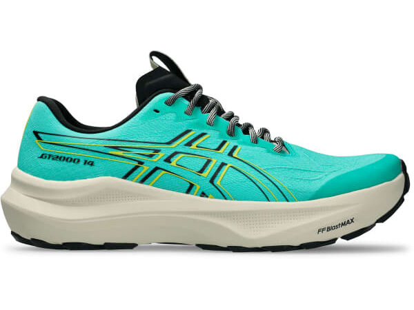 ASICS GT-2000 14 TR