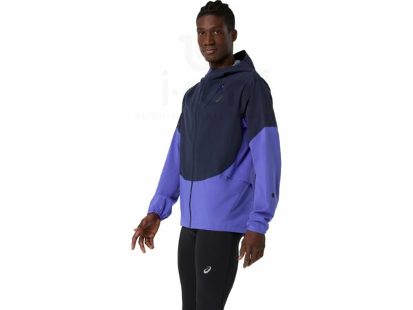 Asics Metarun Waterproof Legend