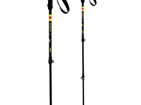Bâton de randonnée TSL Country A3 Light (x2)