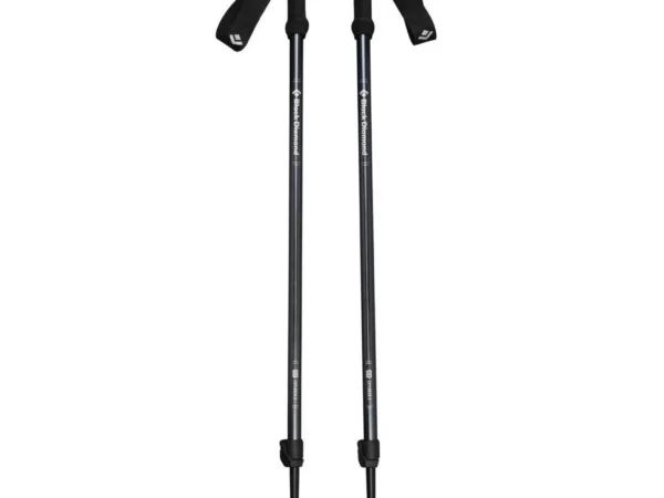 Bâton de trekking Black Diamond Explorer 2