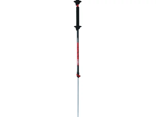 Bâtons TSL Move carbon/alu 2 - swing