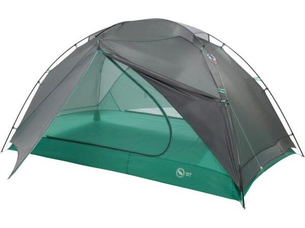 BIG AGNES SARVIS VST 2