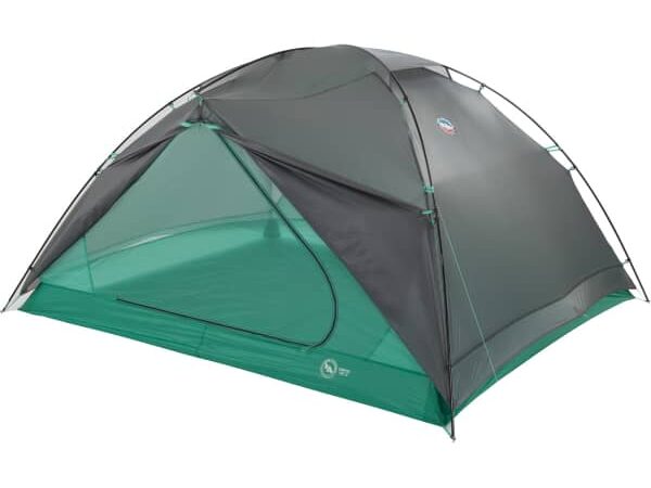 BIG AGNES SARVIS VST 3