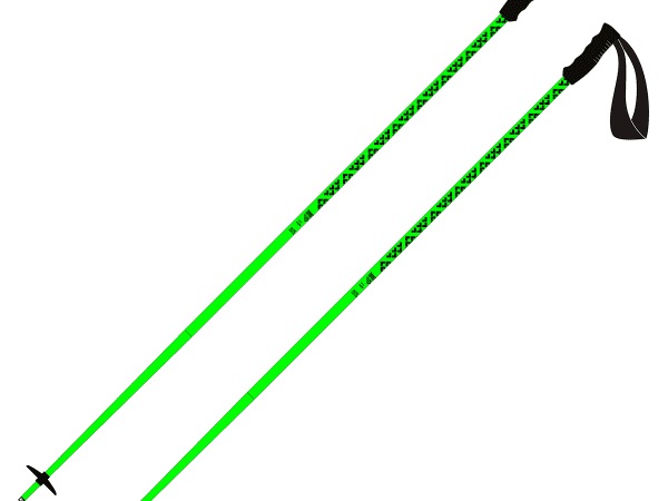 BLACK CROWS META POLES