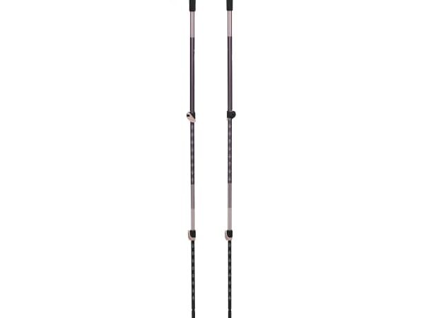 BLACK DIAMOND TRAIL VISTA SHOCK TREK POLES