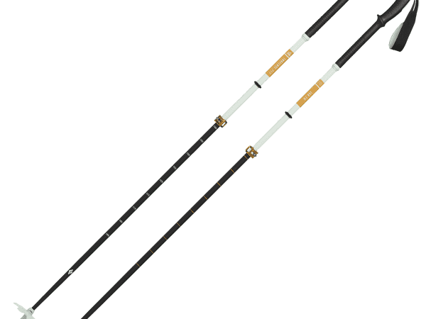 BLACK DIAMOND TRAVERSE PRO SKI POLES FOAM