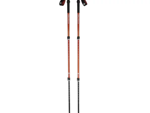 Bâton de trekking Black Diamond Trail Back (x2)
