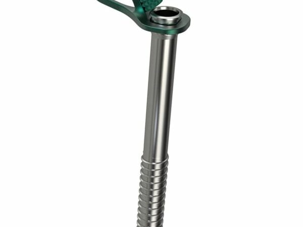 BLUE ICE AERO ICE SCREW 22CM