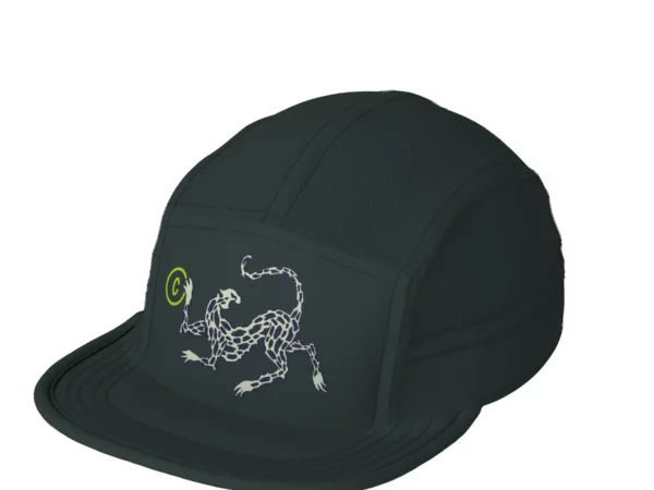 Casquette 5 Pannel Ciele GOCap Field Cheetah