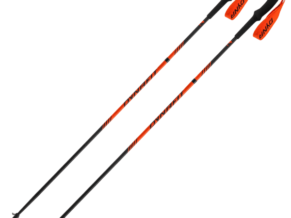 DYNAFIT ALPINE POLE