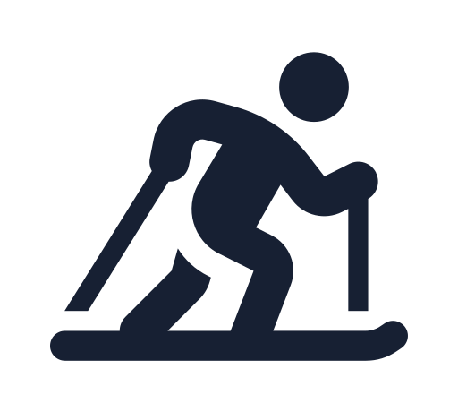 Ski de fond