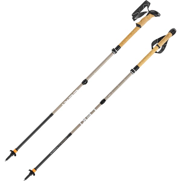 LEKI MAKALU FX CARBON AS COMPACT