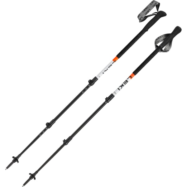 LEKI SKYSOLO