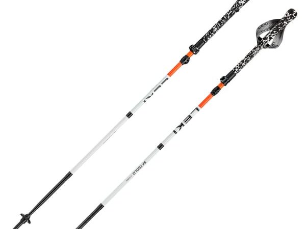LEKI SKYSOLO FX CARBON