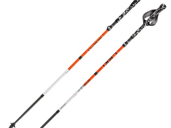 LEKI SKYSOLO FX ONE CARBON