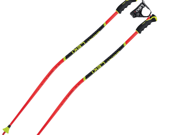 LEKI WORLDCUP LITE GS 3D