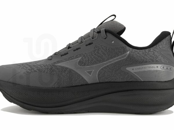 Mizuno Wave Rider TT 4