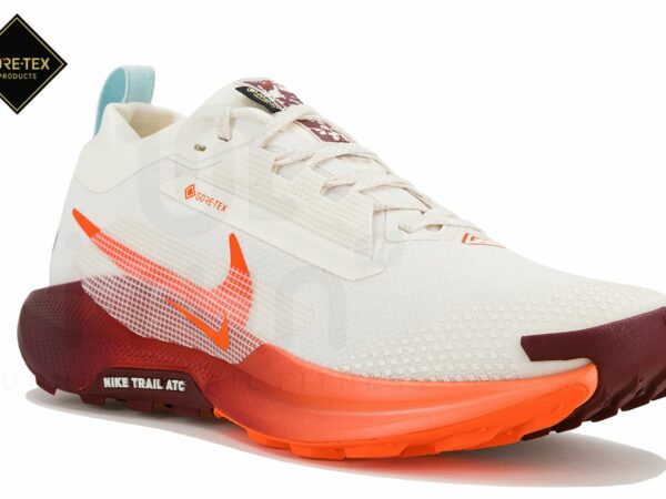 Nike Pegasus Trail 5 Gore-Tex Chaussures homme