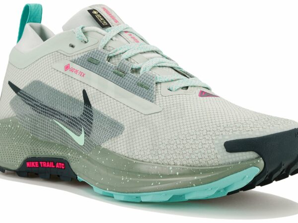 Nike Pegasus Trail 5 Gore-Tex Chaussures homme déstockage
