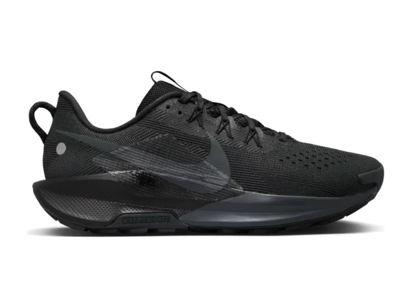 Chaussures de trail Nike Pegasus Trail 5