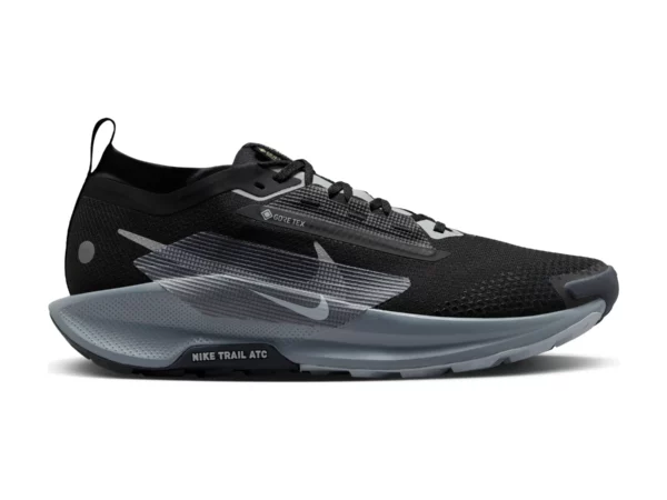 Chaussures de trail Nike Pegasus Trail 5 GORE-TEX