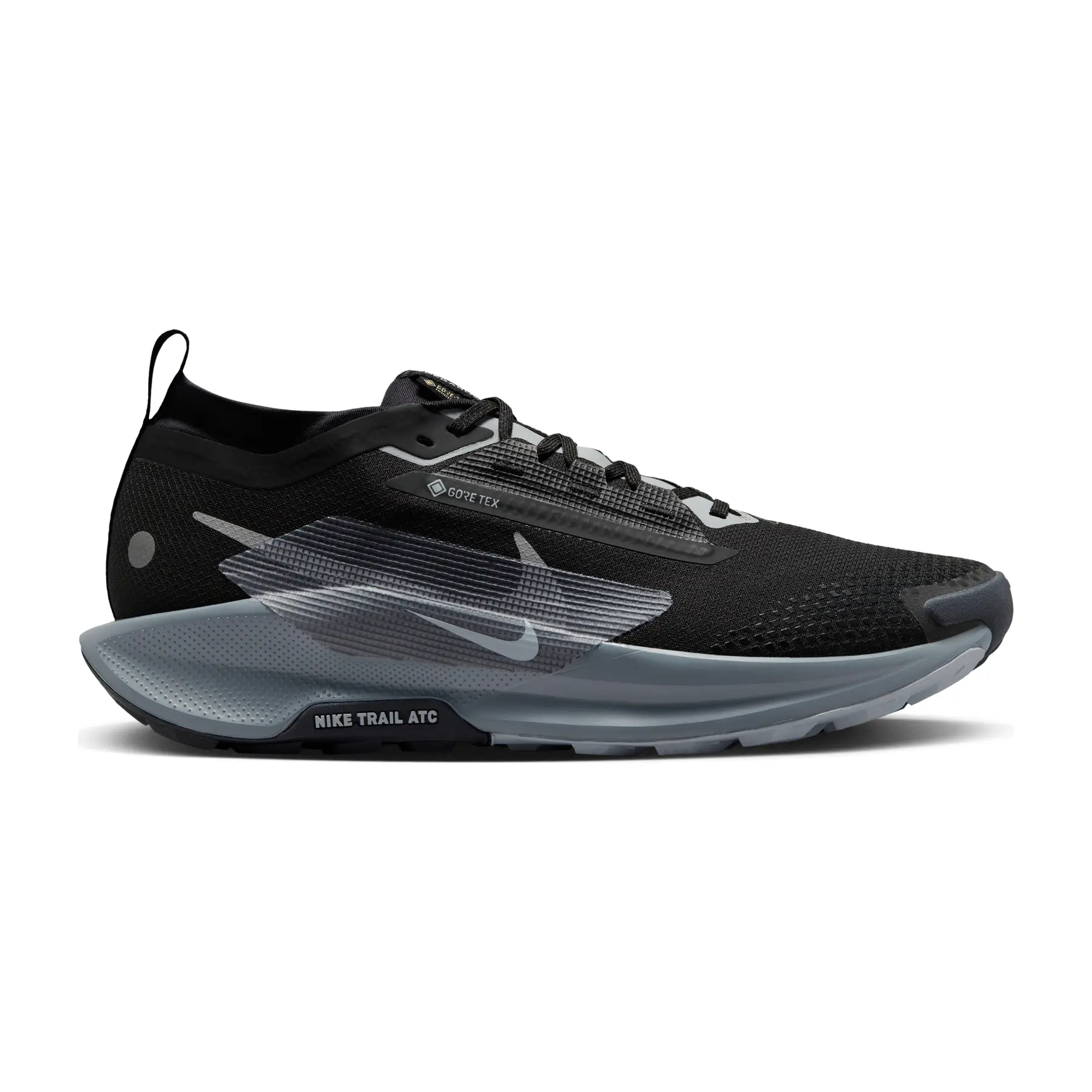 Chaussures de trail Nike Pegasus Trail 5 GORE-TEX