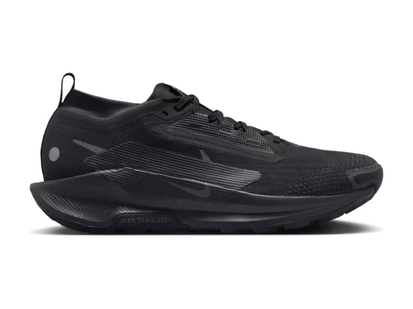 Chaussures de trail Nike Pegasus 5 Gore-Tex