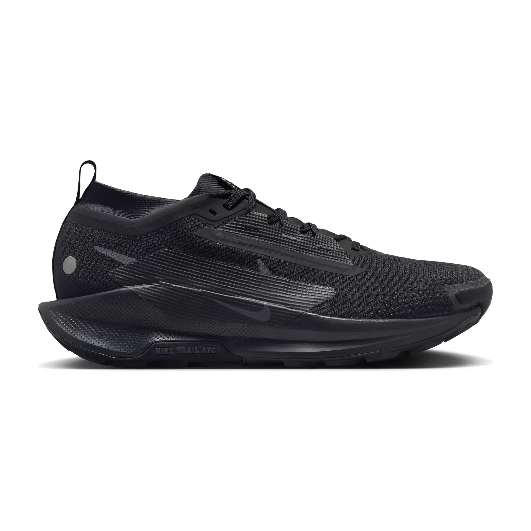 Chaussures de trail Nike Pegasus 5 Gore-Tex