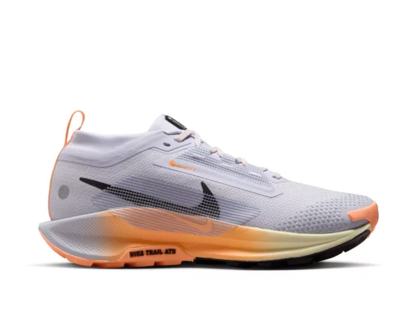 Chaussures de trail femme Nike Pegasus Trail 5 GORE-TEX