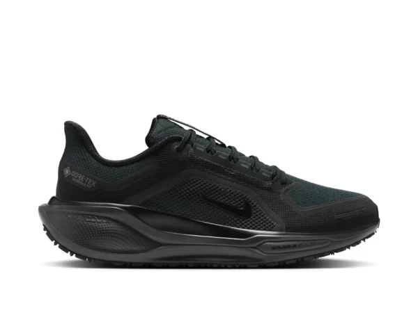 Chaussures de running Nike Pegasus 41 Gore-Tex