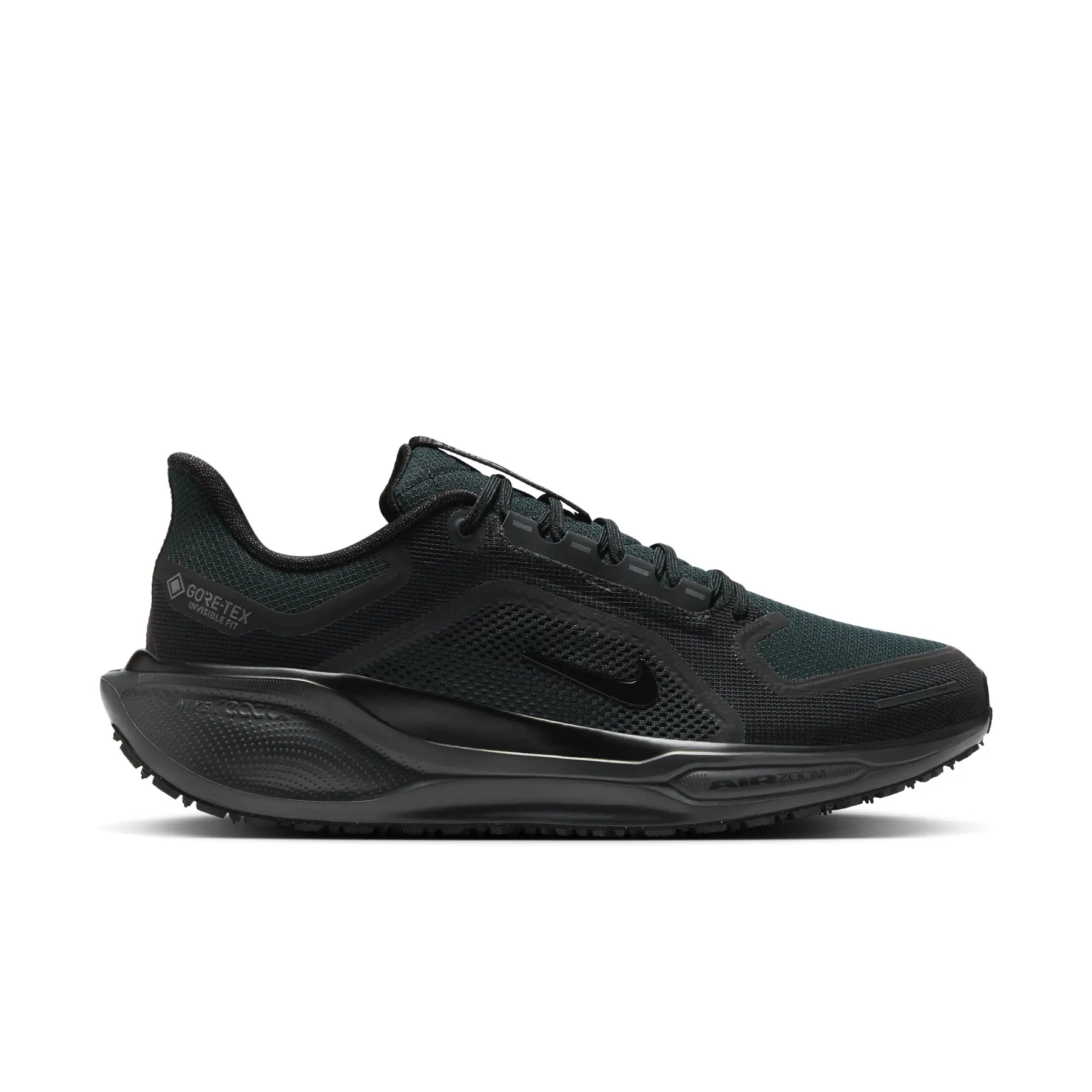 Chaussures de running Nike Pegasus 41 Gore-Tex