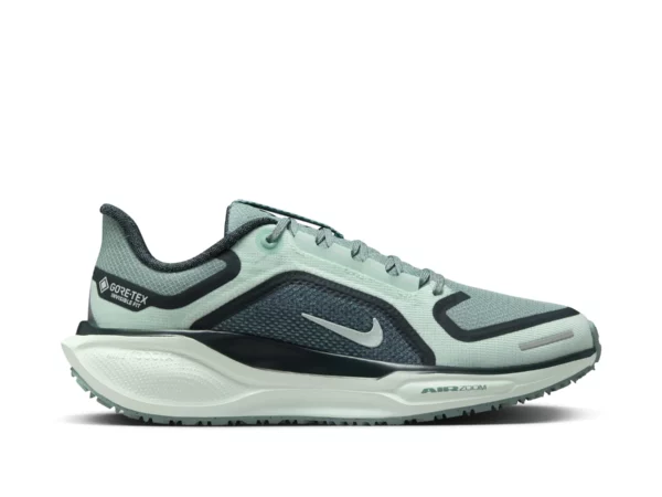 Chaussures de running femme Nike Pegasus 41 Gore-Tex