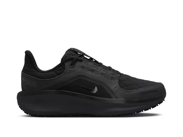 Chaussures de running femme Nike Winflo1 Gore-tex