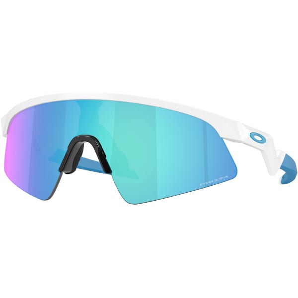OAKLEY RESISTOR SWEEP