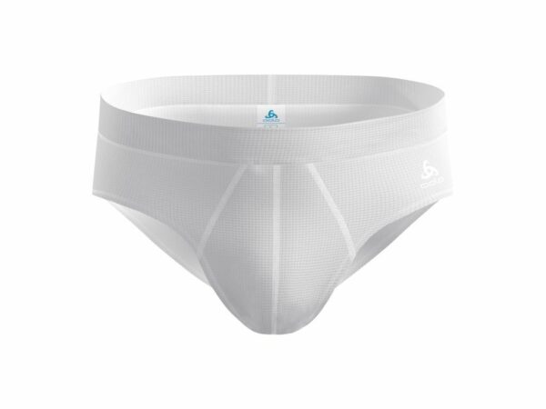 Active Light Brief