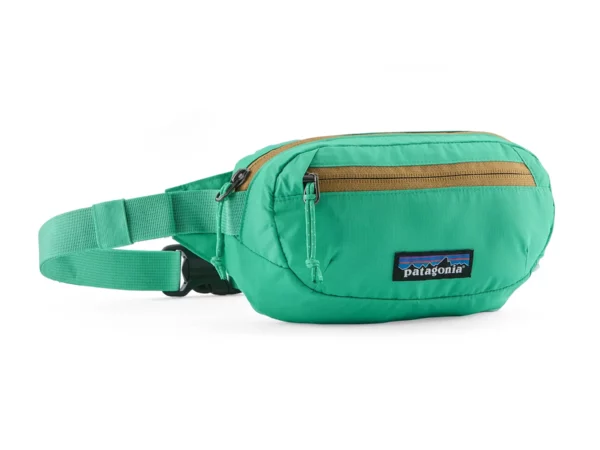 Sacoche banane Patagonia Mini Hip