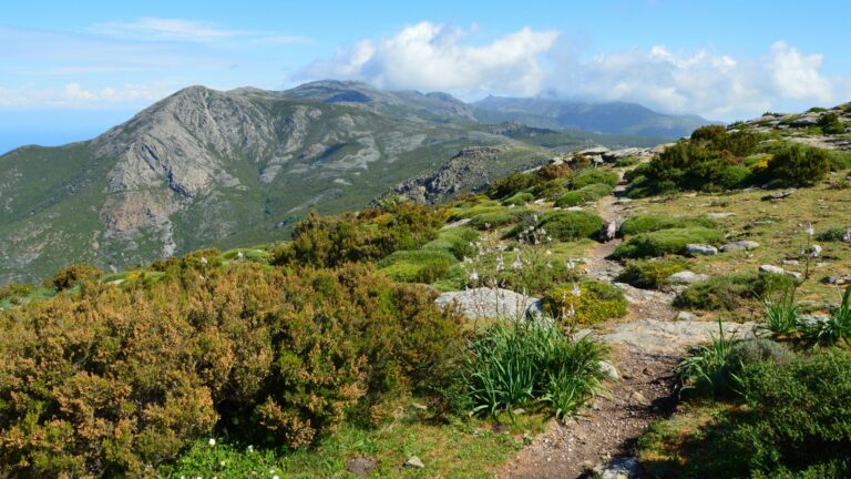 Coureur de trail sur un sentier technique en montagne corse pendant l’été