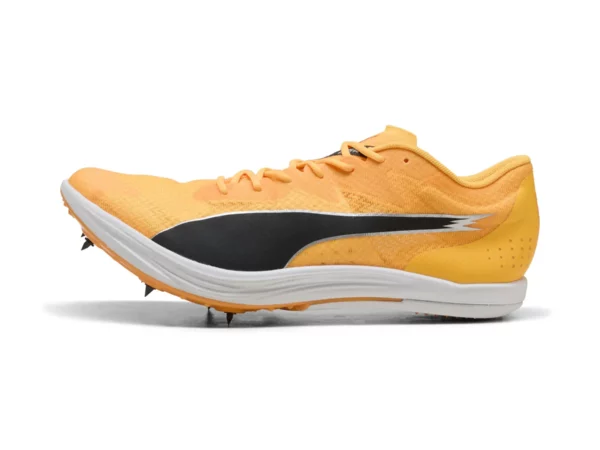 Chaussures d'athlétisme Puma Evospeed