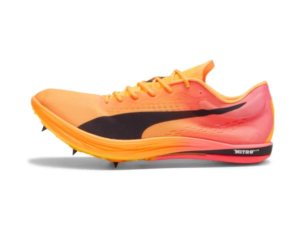 Chaussures d'athlétisme Puma Evospeed Nitro Elite 2