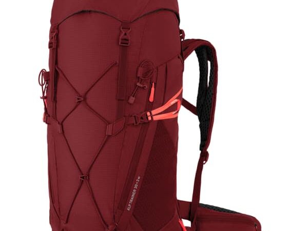 SALEWA ALP TRAINER 30+3 WS