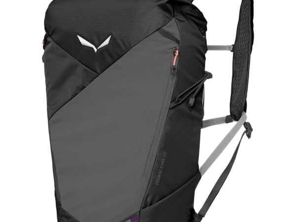 SALEWA PEDROC CORE 22L