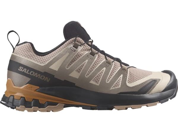 SALOMON SHOES XA PRO 3D V9