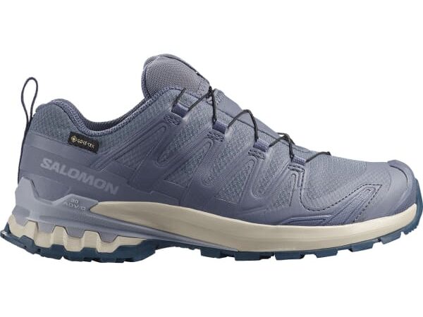 SALOMON SHOES XA PRO 3D V9 GTX W