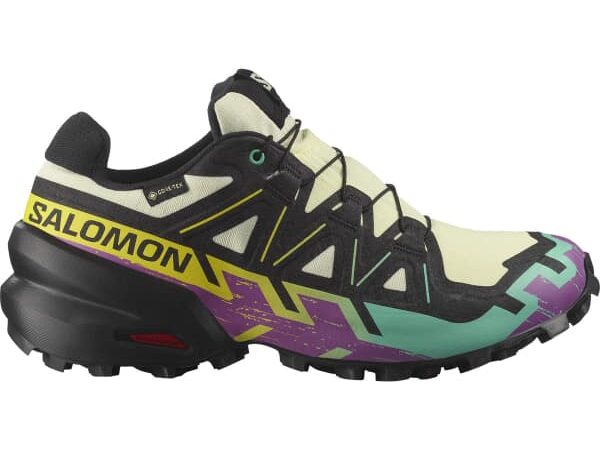 SALOMON SPEEDCROSS 6 GTX W