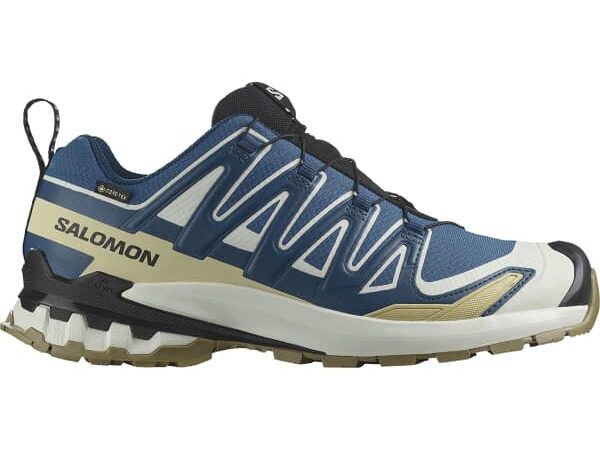 SALOMON XA PRO 3D V9 GORE-TEX