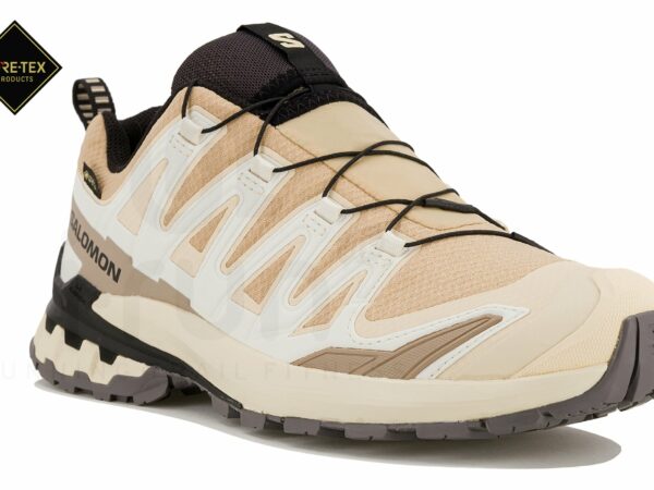 Salomon XA PRO 3D v9 Gore-Tex Chaussures de sport femme