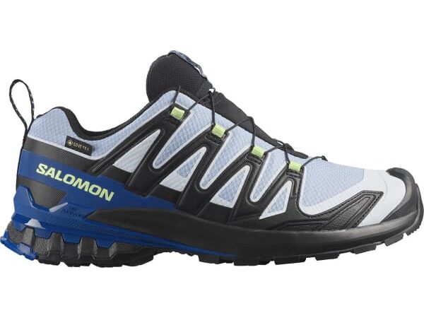 SALOMON XA PRO 3D V9 GORE-TEX ICON