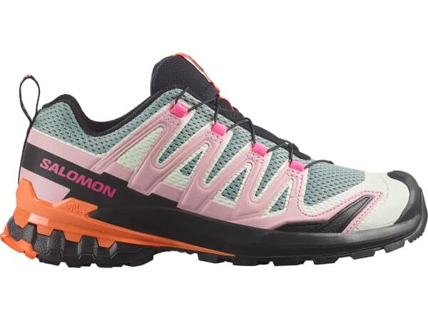 SALOMON XA PRO 3D V9 ICON W