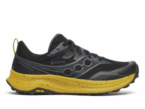 Peregrine 16 GTX