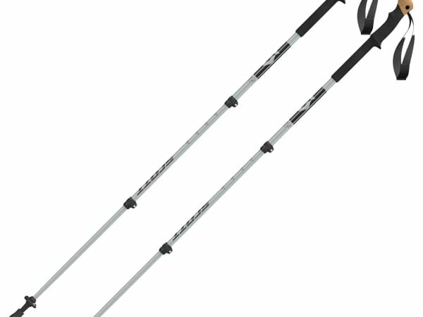SCOTT POLE TREK ALU